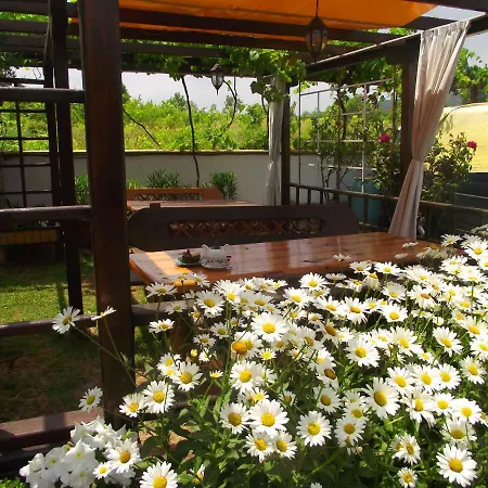 Lozyata 게스트하우스 3*