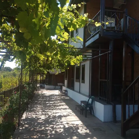 Lozyata 게스트하우스