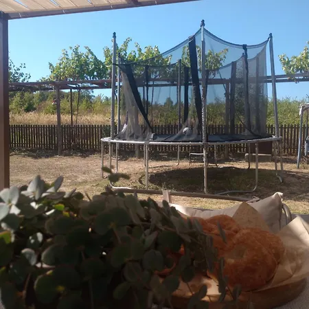 게스트하우스 Lozyata 오브조르