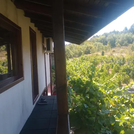 게스트하우스 Lozyata 오브조르