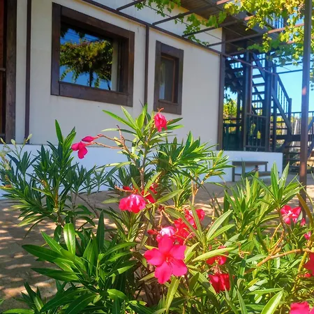 게스트하우스 Lozyata