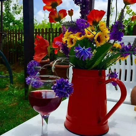 게스트하우스 Lozyata