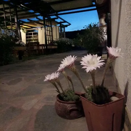 Lozyata 3* 오브조르