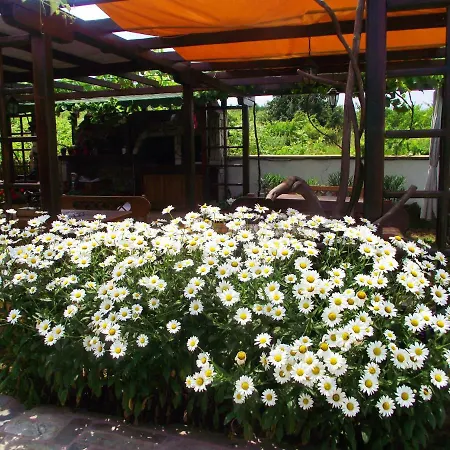 Lozyata 오브조르