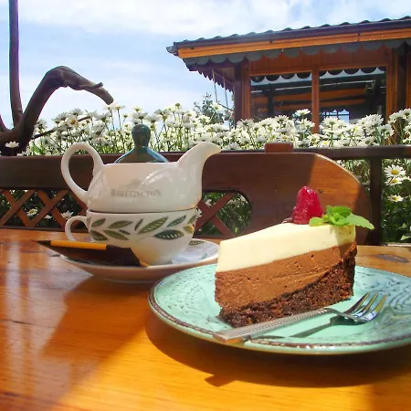 Lozyata 3* 오브조르