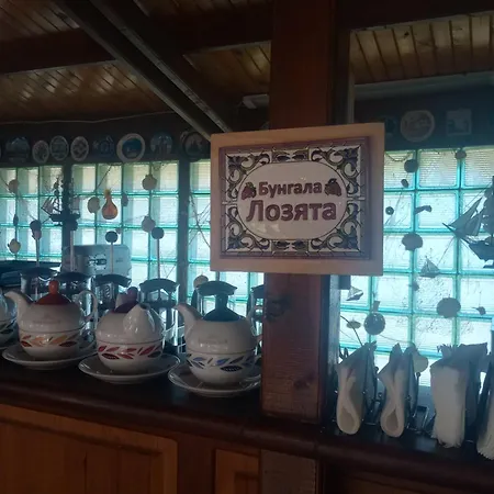 Къща за гости Lozyata 4*