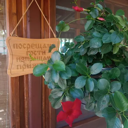 Къща за гости Lozyata 4*