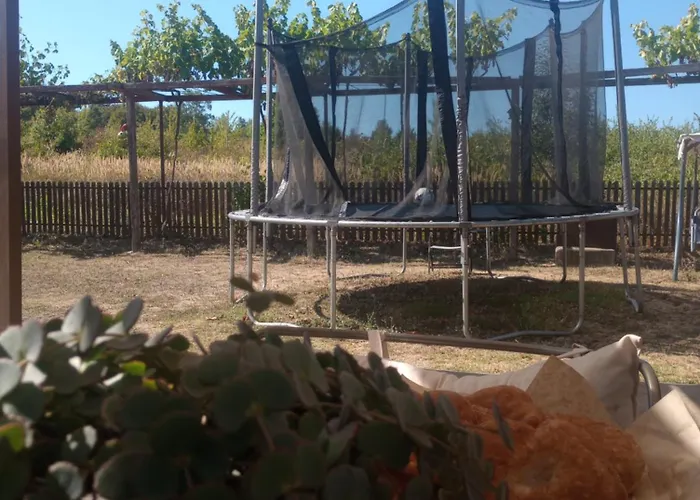 招待所 Lozyata 奥布佐尔