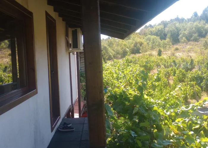 招待所 Lozyata 奥布佐尔