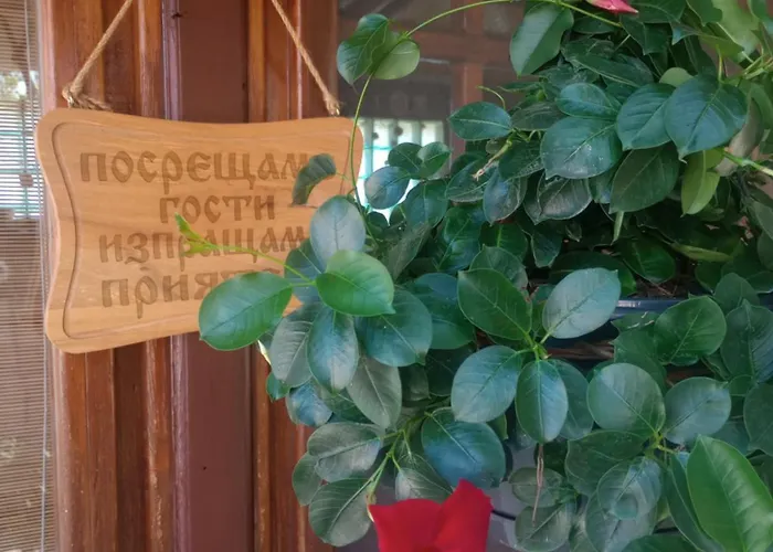 招待所 Lozyata 3*