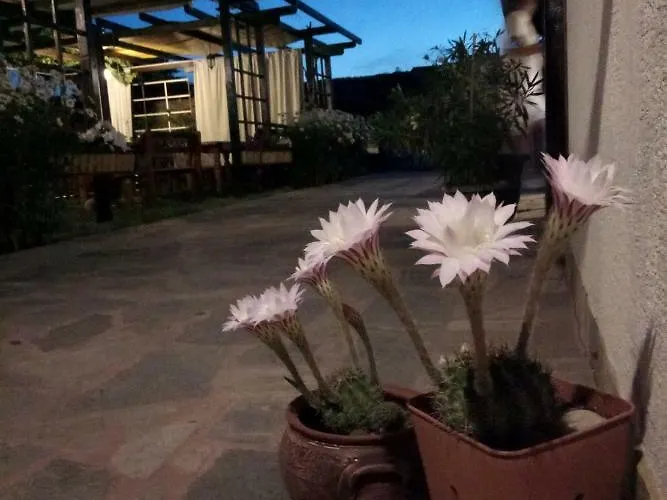 Lozyata 3* 奥布佐尔