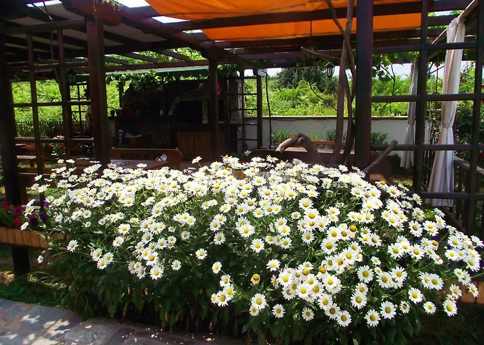 Lozyata 奥布佐尔